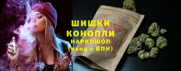 spice Верея